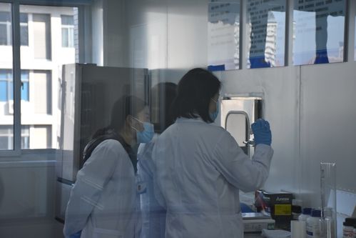 聚焦技術前沿 保障舌尖安全——河南省畜產品質量安全技術研究院創新發展研討會在河南牧業經濟學院召開